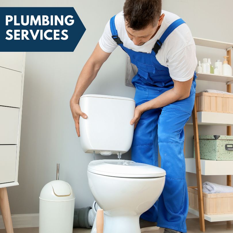 Plumbing Company in Opdyke, IL